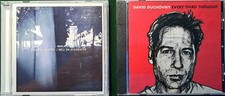 David Duchovny: Hell Or Highwater and Every Third Thought CD music lot