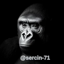 Digital Image Picture Photo Wallpaper Background Desktop AI Art Sample Product