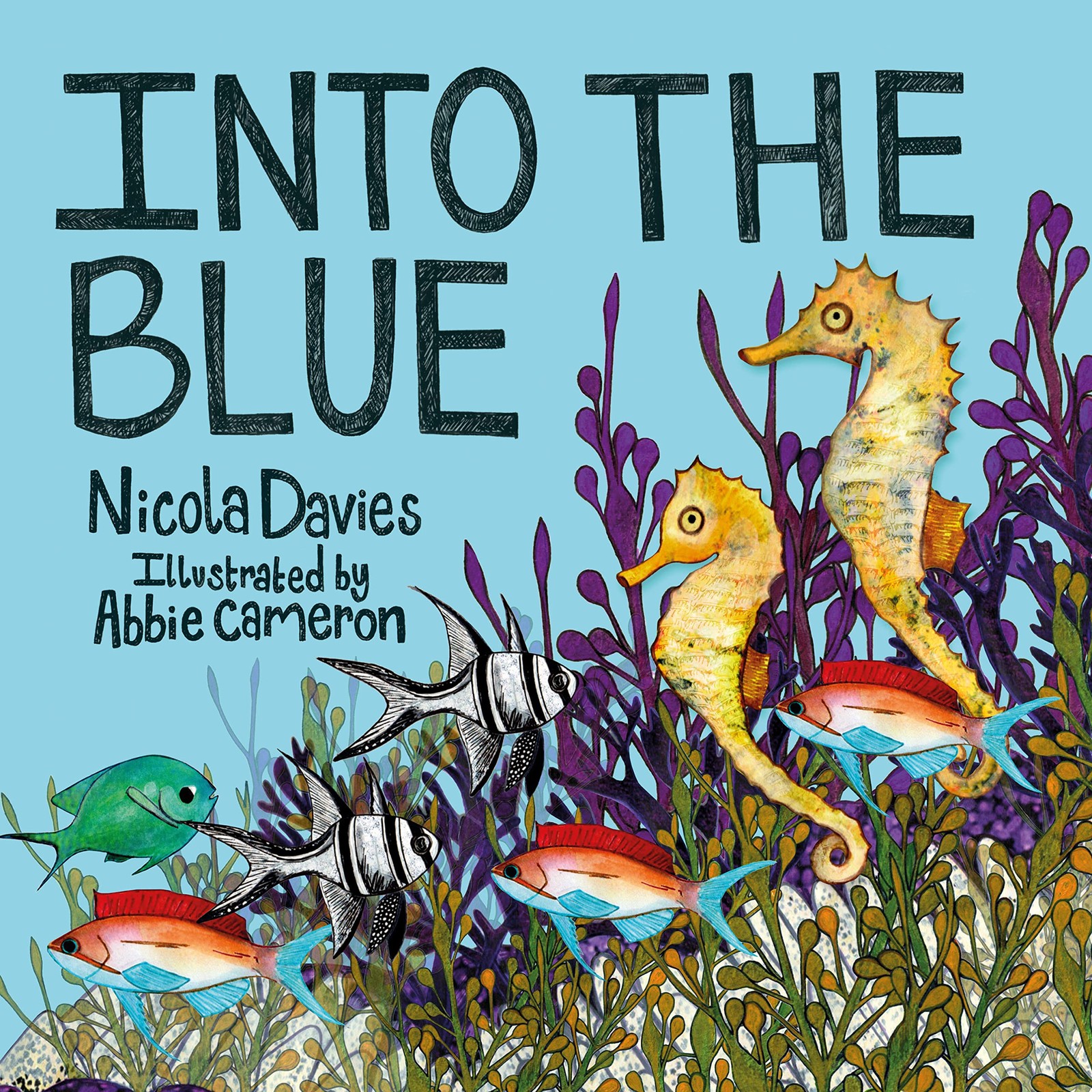 Into the Blue: 2 (Animal Surprises),Nicola Davies - Image 8