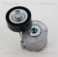 Triscan Spannrolle, Keilrippenriemen U.A. FüR CitroËN, Fiat, Opel, Peugeot