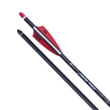 Tenpoint Centerpunch Hpx 20 Carbon Arrows, Al...
