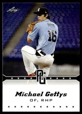 2013 Leaf Perfect Game Michael Gettys #229