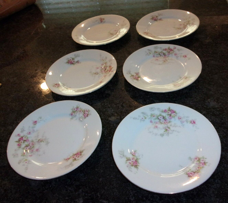 VICTORIA CZECHOSLOVAKIA - SET OF 6  - EXCELLENT CONDITION - RARE 6 3/8"