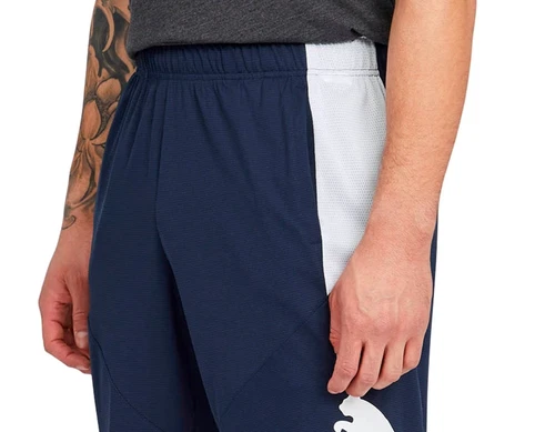 Puma Men's 10 Training Cat Shorts Blue Size Medium - Picture 2 of 3