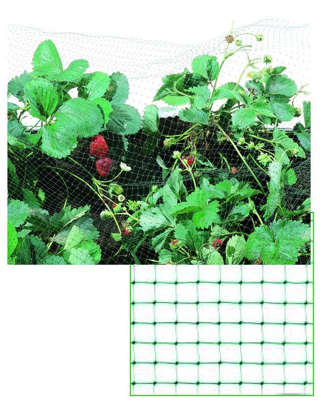 RETE PLASTICA ANTIUCCELLI NERA 19X19 MM 10 M H. 200 CM