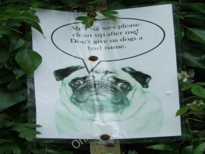 Photo 6x4 Mr Pug Says Debenham Sign seen on footpath Debenham, Suffolk. c2009