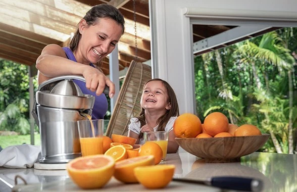 Breville -the Citrus Press™ Pro - Refurbished by Breville - 800CPBSS - image 2 of 2