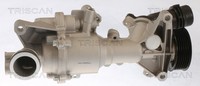 Wasserpumpe MotorküHlung Triscan 8600 23098 FüR Mercedes Klasse W213 Model S213