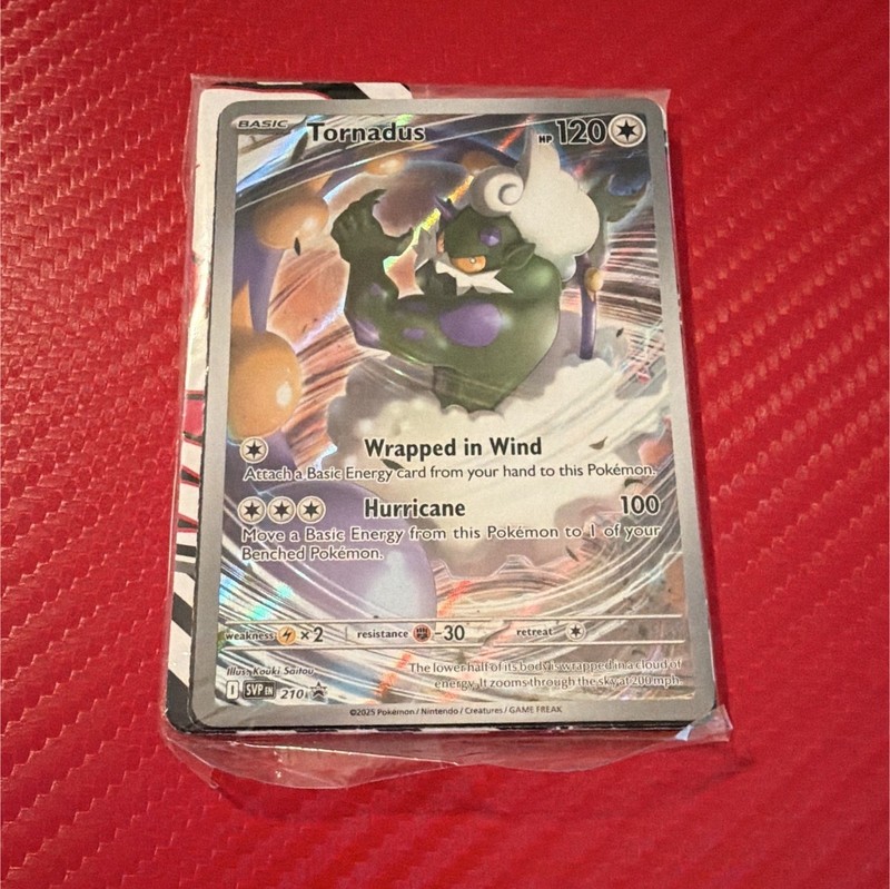 Pokémon SVP Tornadus Holo Card Lot - Basic, English, 2023