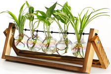 Plant Terrarium with Wooden Stand, Wall Hanging Glass Planter, Tabletop