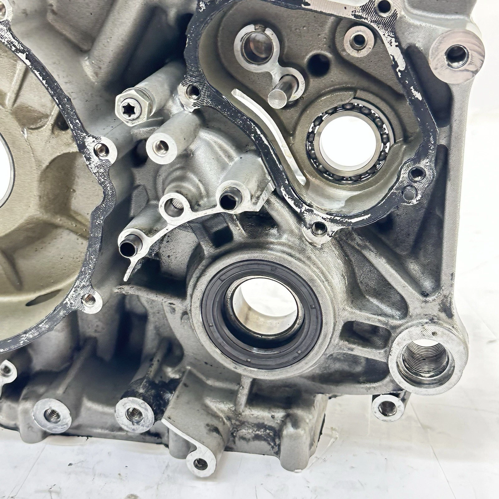 2016 - 2019 DUCATI PANIGALE 959 CRANKCASE ENGINE MOTOR BLOCK CASE BOLTS HARDWARE