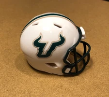 South Florida USF Bulls custom pocket pro helmet AAC