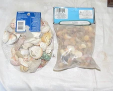 Shells for Crafts and Decoration - two different sizes - 1 pound 4 ounces total