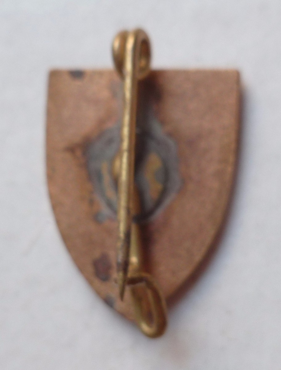 Insigne Boutonnière 6° CJF Chantiers De Jeunesse Afrique Nord - Original, époque WWII