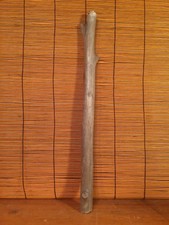 Beautiful 18" DRIFTWOOD Art Terrarium Taxidermy Reptile Beach Macrame DECOR