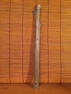 Beautiful 18'' DRIFTWOOD Art Terrarium Taxidermy Reptile Beach Macrame DECOR