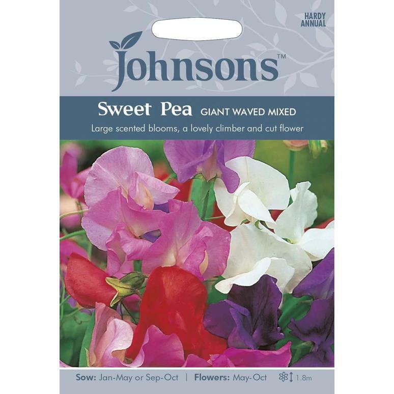 Johnsons Grow Your Own Summer Flower Sweet Pea Giant Waved Mixed Seeds - Packet