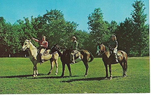 Postcard PA Chrome Poconos Bushkill Falls House Horseback Riding VTG ...