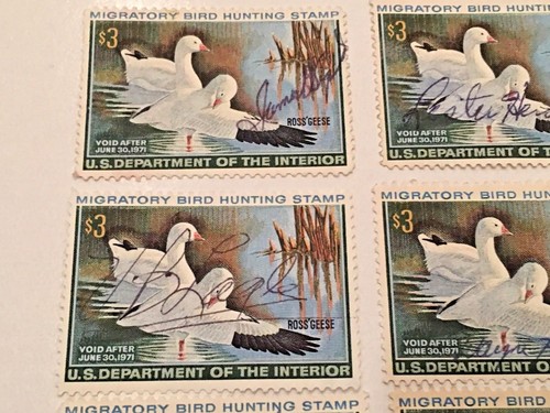 6. USED MIGRATORY BIRD HUNTING CONSERVATION STAMP 1970 - Picture 2 of 6