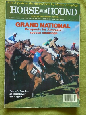HORSE & HOUND / 1990 APRIL 5 / BECHERS BROOK - AS YOU'LL NEVER SEE IT AGAIN