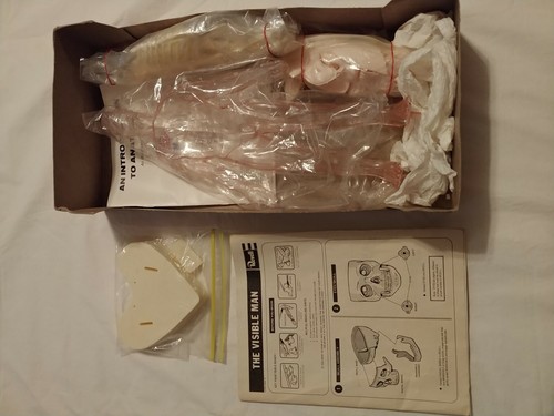 The Visible Man - Kit Modelo Monograma Revell - H-900 - Imagen 5 de 8