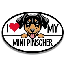 Magnet Me Up I Love My Mini Pinscher Magnetic Car Decal, 4x6 inches Oval