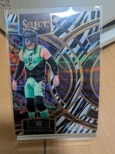 The hurricane zebra wave panini select