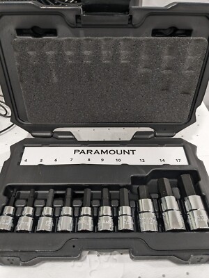 PARAMOUNT Hex Bit Socket Set: 3/8 & 1/2'' Drive, 10 Pc, 4-17mm PAR-2HBS-S10M