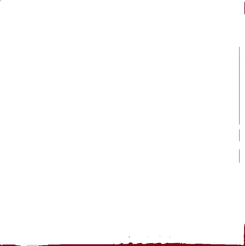 Symbol Wireless POS Barcode Scanners