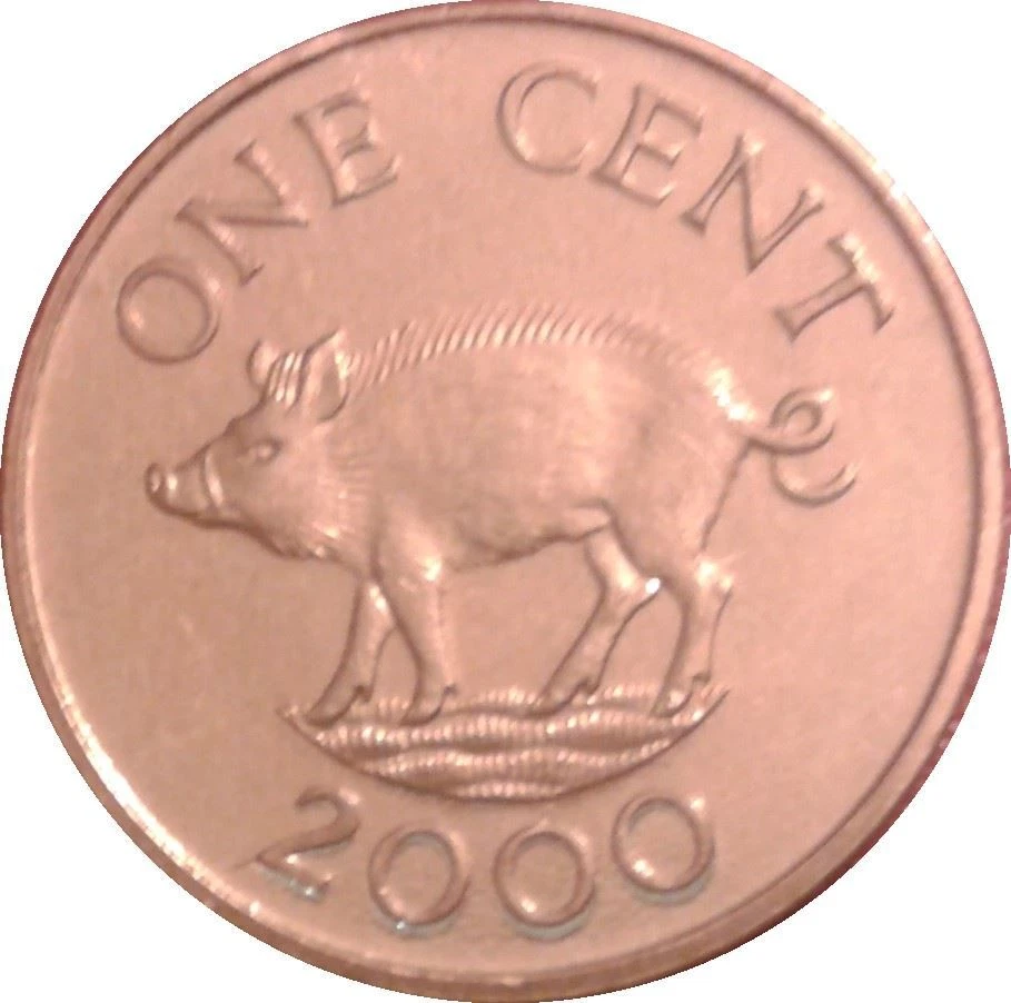 Bermudian 1 Cent Coin | Queen Elizabeth II | Wild Boar | Bermuda | 1999 - 2008 - Image 4 of 4