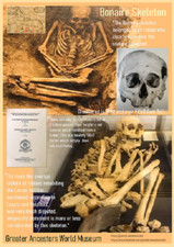 Giant Bonaire Skeleton / Giant Human / 13 x 19 poster