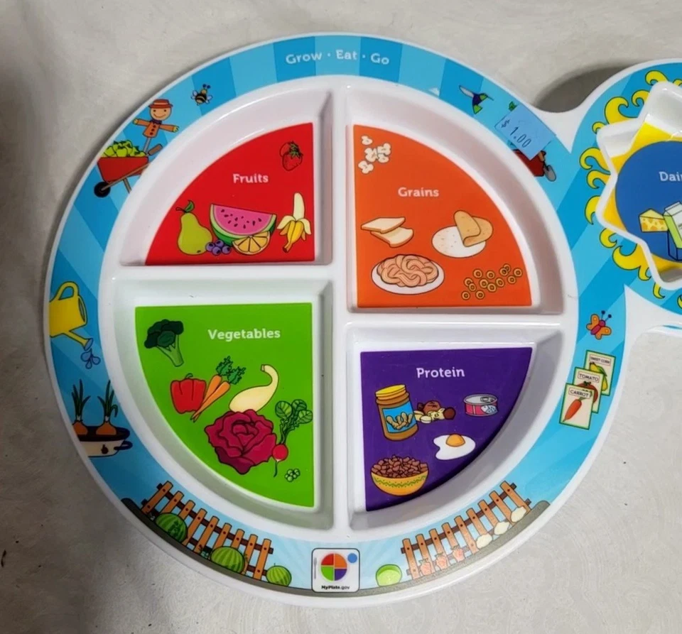 Fresh Baby Kid's 5 Seções "My Plate" 7” Prato Multicolorido de Grupo de Alimentos, Plástico - Imagem 3 de 4