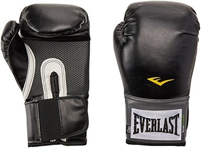 everlast pro style training