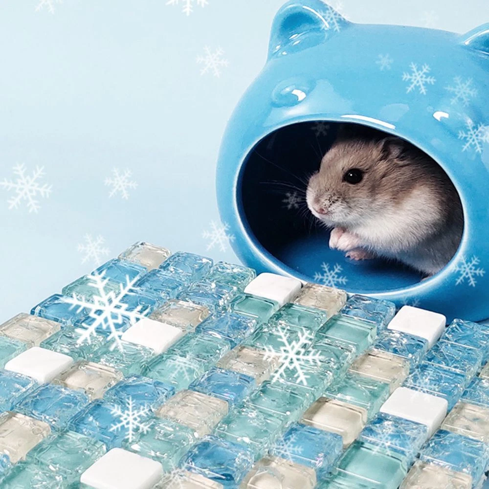 Cage Habitat Squirrel Summer Hammock Platform Cooling Pad Hamster