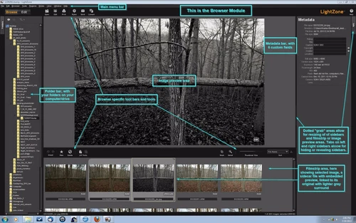 专业数码照片相机 RAW 图像编辑 Lightroom-Darkroom 软件程序 - 第 2 张/共 12 张