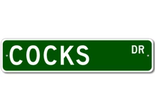 Cocks Drive Street Sign Personalized Custom Last Name Metal Sign - Aluminum