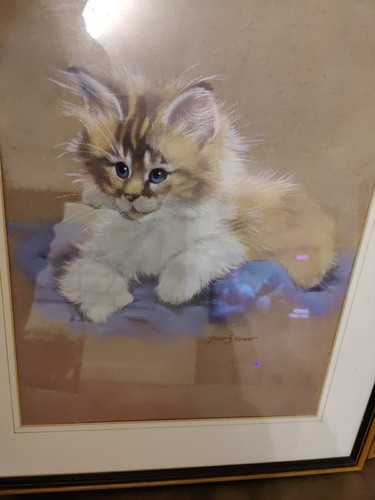 Peter Swan Par Marrón X2 Gato Grande Gatito Impresiones Artísticas Cuadro Enmarcado Cada 53x42cm - Imagen 4 de 11