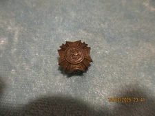 Veteran of Foreign Wars Military Pin