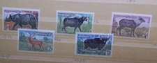 Lote Colección Sellos Asia Khmer Animales MNH.