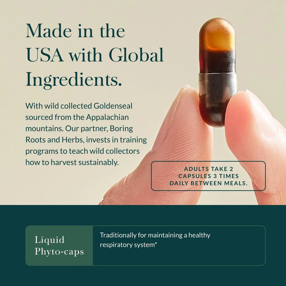 Gaia Herbs Echinacea Goldenseal - Suplemento de apoyo inmunológico para mantener un... Foto 4 de 4