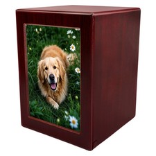 Wooden Funeral Cremation Urn with Photo Frame For Dogs Cats Red, L