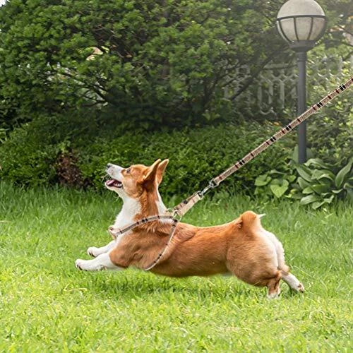 Dog Harness with Leash and Bow Tie Collaret - Plaid Puppy Harness, S Beige