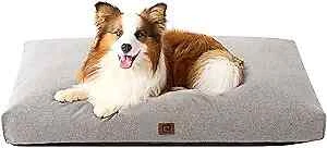Shredded memory shop foam dog bed