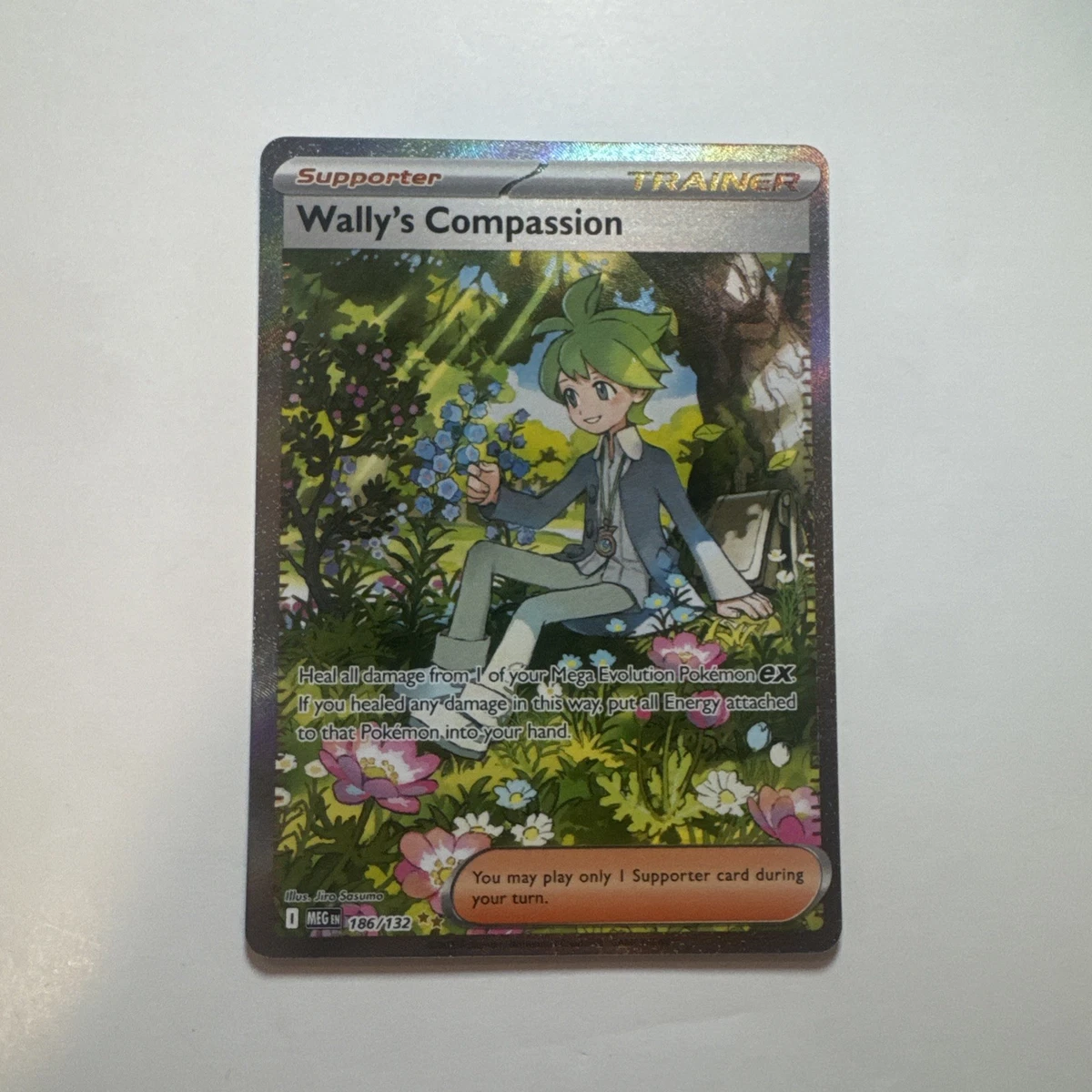Wally Pokmon TCG Cards for sale | eBay Wally Pokmon TCG Cards for sale | eBay