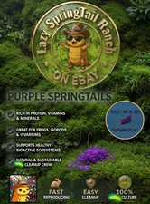 120-140 Purple Springtail Culture