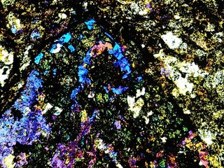 Vintage Microscope Slide. Petrology. Dacite by Gregory Bottley