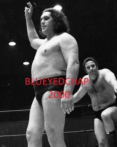 ANDRE THE GIANT & MARK LEWIN WRESTLER 8 X 10 WRESTLING PHOTO NWA - Image 1 of 1