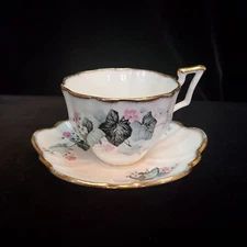 Salisbury England Tea Cup & Saucer,  Bone China. #80