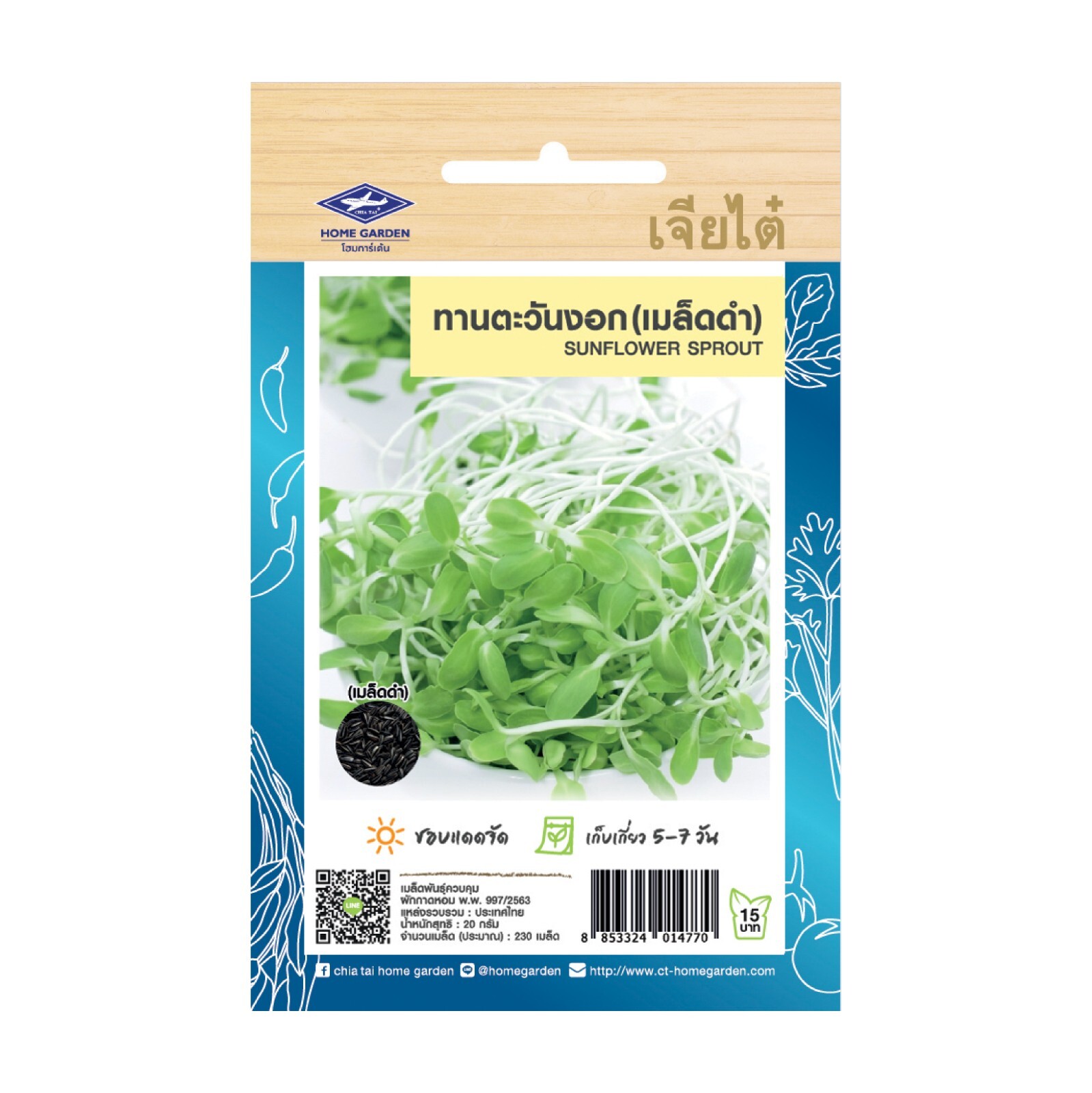 Semillas de brotes de girasol jardín en casa verduras frescas asiáticas las m...