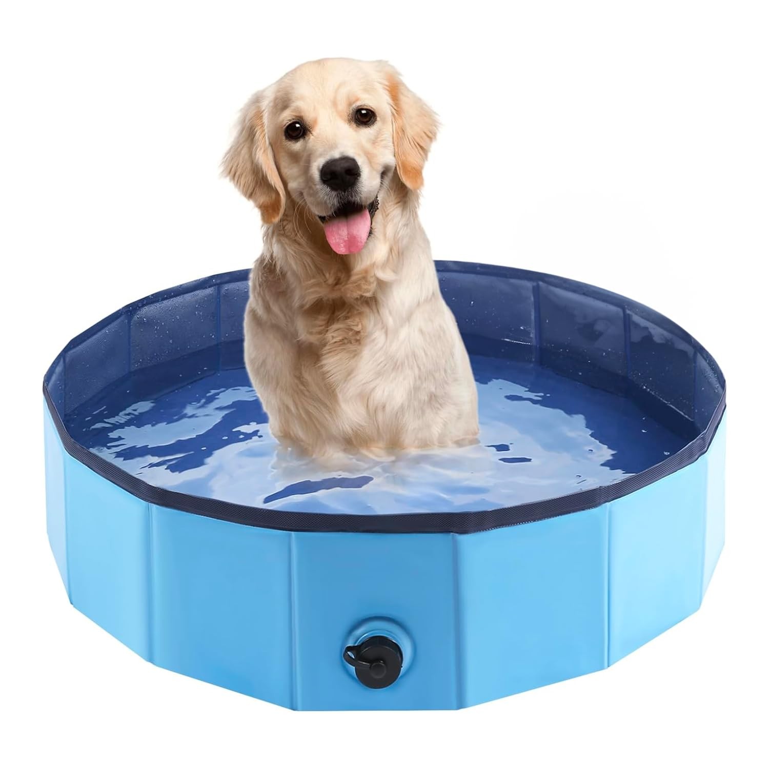 Wintem Dog Pool 120x30: Piscina Professionale Animali in PVC Rinforzato